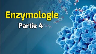 Cinétique enzymatique Michaelienne  Cours Enzymologie partie 4 [upl. by Cohla]