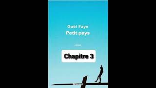 12  Petit Pays  Gael Faye  aide à la lecture  Chapitre 12 [upl. by Uos]