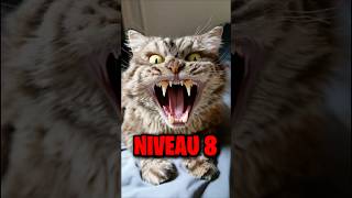 ESTU AILUROPHOBE  Peur des chats [upl. by Ancier]