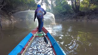 KEMBALI MENJALA KAWANAN IKAN YANG SEDANG TURUN [upl. by Eniluap]