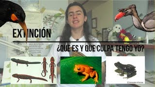 Extinción  ¿qué es y qué culpa tengo yo [upl. by Yarod]