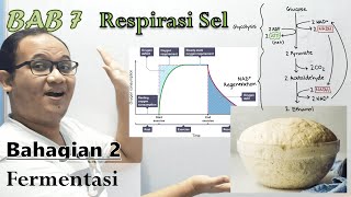 KSSM Bio Ting 4  Bab 7  Respirasi Sel Part 2 Fermentasi [upl. by Niawat16]