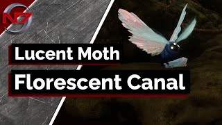 Destiny 2  Lucent Moth  Florescent Canal  Season of the Risen [upl. by Schell681]