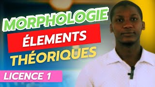 Analyses en Morphèmes Éléments Théoriques [upl. by Eednam776]