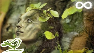 Dance of Life Relaxing Celtic Music for Meditation amp Sleep by Peder B Helland [upl. by Miahc741]