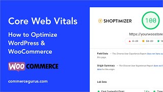 Core Web Vitals and FAST WordPressWooCommerce  95 Google Pagespeed Insights Score [upl. by Rafe584]