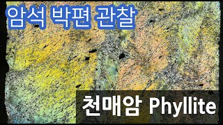 암석 천매암 박편 관찰하기 Phyllite thin section [upl. by Apostles232]