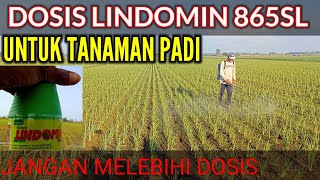 DOSIS LINDOMIN 865 SL UNTUK PADI [upl. by Abigail]