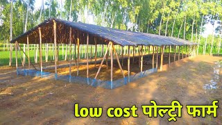 low cost layer poultry farm  desi murgi palan  desi murgi palan ka tarika [upl. by Eedya]