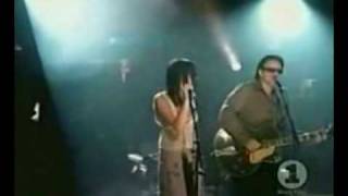 Summer wine  The corrs and Bono with lyrics [upl. by Lertsek]