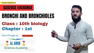 Bronchi and Bronchioles  Explained by Sir Amin Ullah In Urdu and Hindi [upl. by Schilling113]