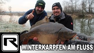 Karpfenangeln am Fluss  Winterkarpfen  SchneemannMontage fängt Fisch bei Randeis [upl. by Rego]