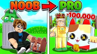 Went From Noob To Pro In Pet Simulator 99  RNG Event🐶 [upl. by Ahsetel]