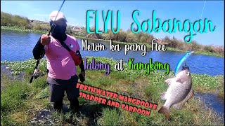 ELYU Sabangan  Fishing Adventure  Mangroove Snapper  Tarpoon [upl. by Nylirem]