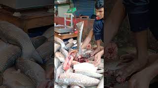 মাছ বাজারে বড় মাছ কাটার ভিডিওfish market videofish marketfish cuttinglocal fish market [upl. by Svirad893]