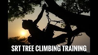 SRT Tree Climbing Training  Bulldog Bone  Bola Lanyard  GoPro  Arborist [upl. by Ranee925]