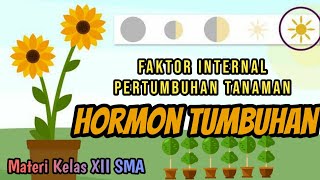 Hormon Pada Tumbuhan  Faktor Internal Pertumbuhan Tanaman  Pembelajaran Daring  Dunia Biologi [upl. by Gillett]