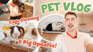 PET VLOG  Cage Cleaning Pig Updates amp Opening Fan Mail [upl. by Auqinahs356]