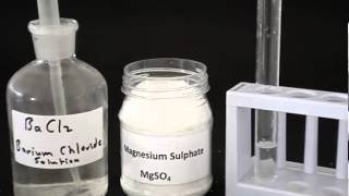 Test for a sulfate [upl. by Ailis]