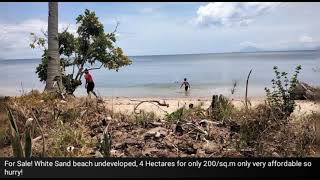 For sale White sand Beachfront farm land of 4 Hectares for only php 200sqm so hurry [upl. by Chance]