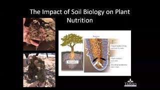 Soil Biology Impact on Plant Nutrition  Dennis W Jan 2023 [upl. by Noicpesnoc118]