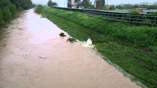 WINTERBACH HOCHWASSER KLAERANLAGE SCHORNDORF [upl. by Essilevi]