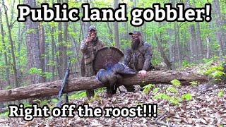 Virginia Public Land Mountain Gobbler Spring Gobbler Turkey Hunt 2024  Ridge Raised Outdoors [upl. by Naniac]