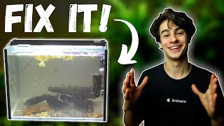 How to Fix Cloudy Water in an Aquarium Easiest Method [upl. by Konstantin]