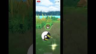 Shiny meltan shiny communityday mobilegame shinypokemon pokemongame crazy pokemongo meltan [upl. by Nerita]