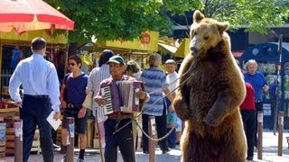 Der letzte Tanz  Die Befreiung der bulgarischen Tanzbären Goscho und Bobby [upl. by Loomis]