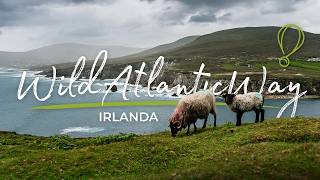 Il viaggio on the road più SPETTACOLARE DIRLANDA la Wild Atlantic Way 🌊 ep1 [upl. by Anoyet508]