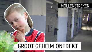 JE KUNT DE MOL NIET ZIEN MAAR WEL HOREN  Mollenstreken 6  NPO Zapp [upl. by Ekihc]