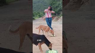 ❤️25JULY❤️🐕UNST🚫PPABLE L🤍VE STORY🐕❤️PT02❤️dogcatlovemotivationbeautifulytshortsviralvideo [upl. by Nelrsa]