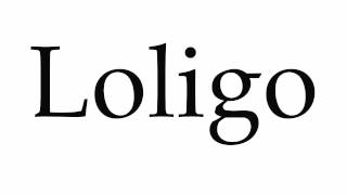 How to Pronounce Loligo [upl. by Yelhs]