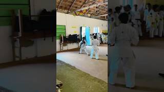 karate baisic training kick shortvideo twins brothers [upl. by Rfinnej]