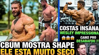 CBUM MOSTRA SHAPE ATUAL MUITO SECO e COSTAS GIGANTES DO WESLEY VISSERS IMPRESSIONAM  CAIKE PRO [upl. by Gilliette569]