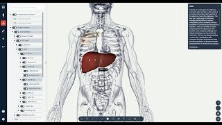 Programme im Unterricht Biodigital zur Erforschung von AnatomieBiologie [upl. by Nelon]