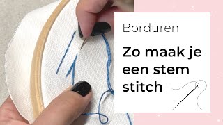 Leren borduren 2  Zo maak je een stem stitch  houtjetouwtjecom [upl. by Dleifxam451]