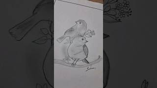 bird🐦✨ art drawing critive artandcraft birds love artandcraft viral shorts viralshorts [upl. by Murdock]