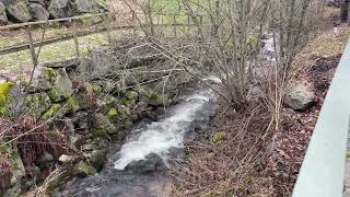 Ein kleiner Bach im Schwarzwald [upl. by Marlyn]