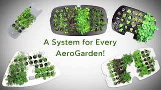 AeroGarden Seed Starting Systems [upl. by Aloise]