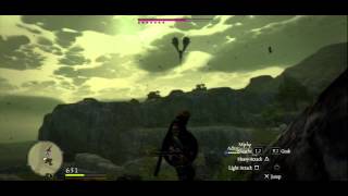 Dragons Dogma  Full Wyvern Battle [upl. by Dorca668]