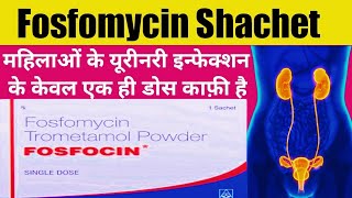 Fosfomycin powder use in hindi  fosfocin schaet use in hindi  fosfomycin trometamol powder use [upl. by Ines]