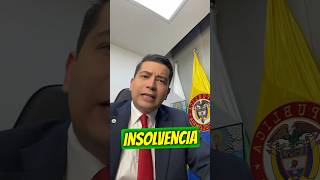 📌 BENEFICIOS DE LEY DE INSOLVENCIA ECONÓMICA [upl. by Eihs357]