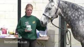 How to protect your horse from flies midges and insect bites  fly spray and cream [upl. by Annoled]