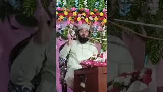 Peer Syed Faiz Ul Hassan Shah Shahab 11 [upl. by Kelsy]