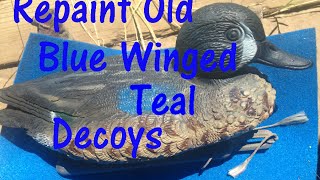 How to repaint a blue winged teal decoy [upl. by Adal]