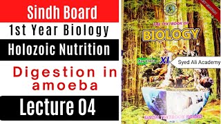 digestion in amoeba  class 11  holozoic nutrition  first year biology Sindh board new book [upl. by Arst617]