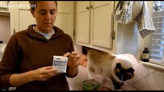 Probiotics for Cats  Purina Fortiflora Feline Nutritional Supplement Box [upl. by Chara]