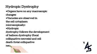 Parenchymal Dystrophy Classifications [upl. by Adamik645]